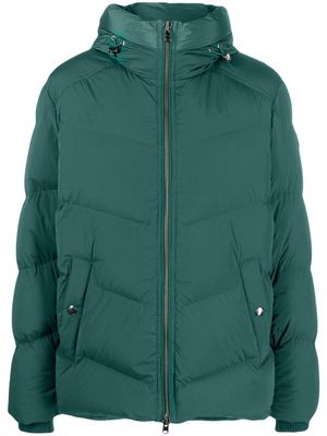Woolrich Premium hooded down jacket - Green