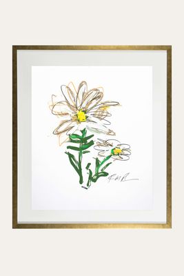 "Yellow & White Daisy - Flower 5" Giclee by Robert Robinson