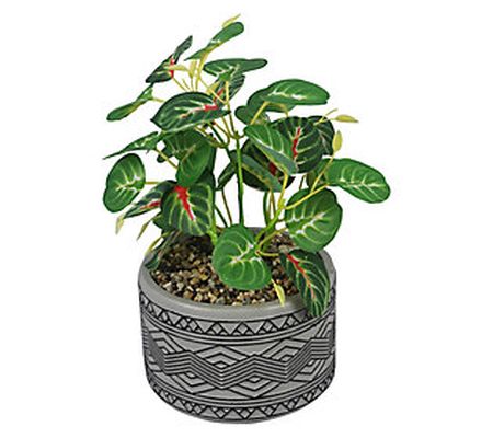 Young's Cement Pot with Plant