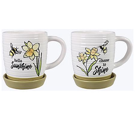 Young's Ceramic Daffodil Themed Mug Planters, S et of 2