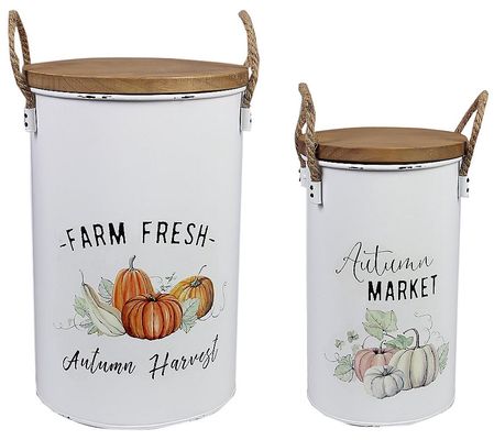 Young's Metal Fall Tin Buckets, Set of 2