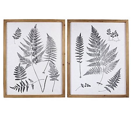 Young's Wood Framed Wall Botanical Art on Paper , Set of 2