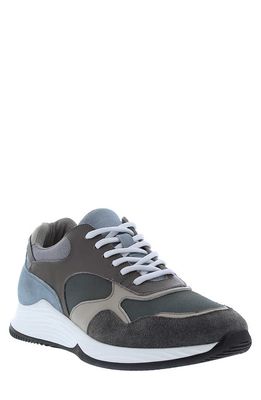 Zanzara Nova Sneaker in Grey