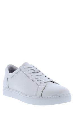 Zanzara Vester Leather Low Top Sneaker in White