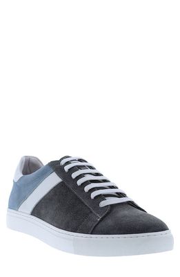 Zanzara Zion Sneaker in Grey