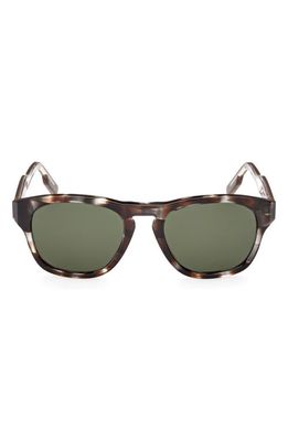 ZEGNA 52mm Round Sunglasses in Dark Brown/Other /Green