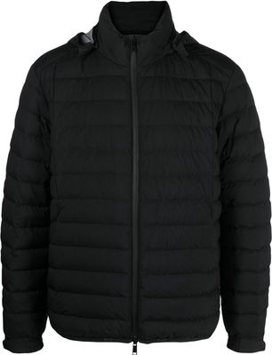 Zegna zipped padded jacket - Black