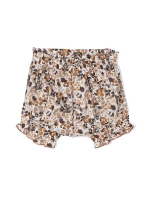 Zhoe & Tobiah graphic-print ruffled cotton shorts - Brown