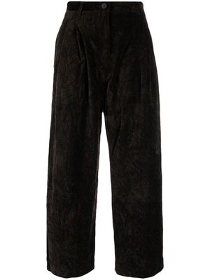 Ziggy Chen pleated wide-leg cotton trousers - Brown