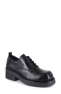 ZIGIny Eva Platform Derby in Black Leather