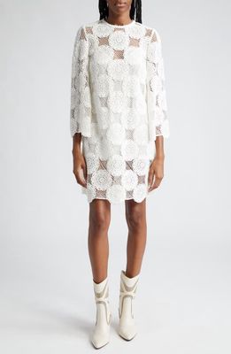 Zimmermann Junie Cotton Lace Tunic Dress in Ivory