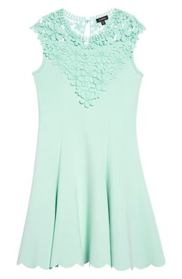 Zunie Embroidered Lace Fit & Flare Dress in Mint